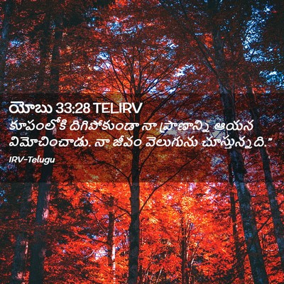 Picture 02 - యోబు 33:28 TELIRV - కూపంలోకి - Bible Verse Picture