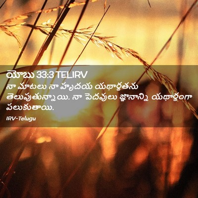 Picture 02 - యోబు 33:3 TELIRV - నా మాటలు నా హృదయ - Bible Verse Picture