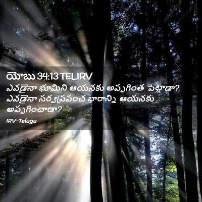 Picture 02 - యోబు 34:13 TELIRV - ఎవడైనా భూమిని - Bible Verse Picture
