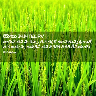 Picture 02 - యోబు 34:14 TELIRV - ఆయన తన మనస్సు తన - Bible Verse Picture