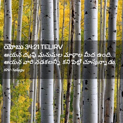 Picture 02 - యోబు 34:21 TELIRV - ఆయన దృష్టి మనుషుల - Bible Verse Picture