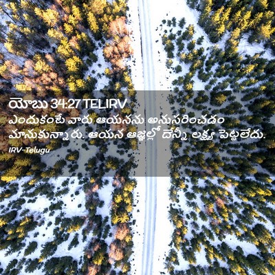 Picture 02 - యోబు 34:27 TELIRV - ఎందుకంటే వారు - Bible Verse Picture