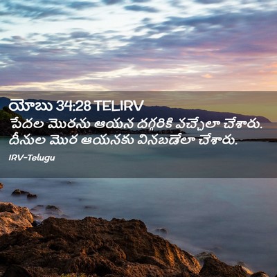 Picture 02 - యోబు 34:28 TELIRV - పేదల మొరను ఆయన - Bible Verse Picture