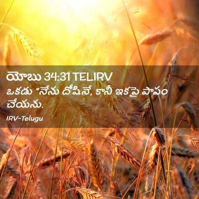 Picture 02 - యోబు 34:31 TELIRV - ఒకడు “నేను దోషినే, - Bible Verse Picture