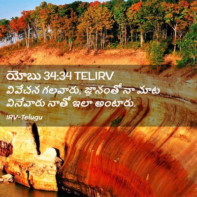 Picture 02 - యోబు 34:34 TELIRV - వివేచన గలవారు, - Bible Verse Picture