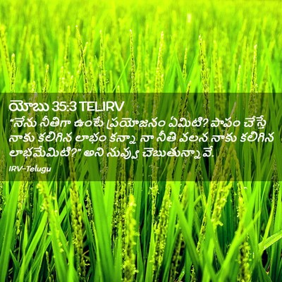 Picture 02 - యోబు 35:3 TELIRV - “నేను నీతిగా ఉంటే - Bible Verse Picture