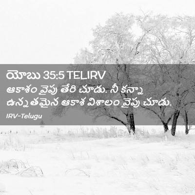 Picture 02 - యోబు 35:5 TELIRV - ఆకాశం వైపు తేరి - Bible Verse Picture