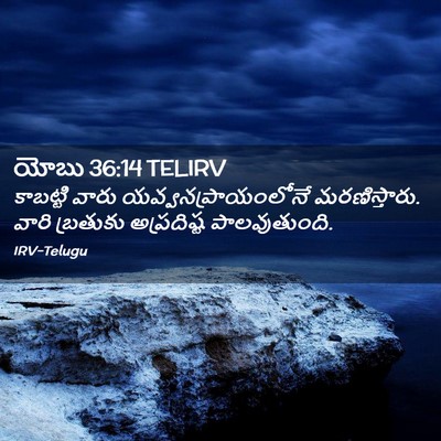 Picture 02 - యోబు 36:14 TELIRV - కాబట్టి వారు - Bible Verse Picture