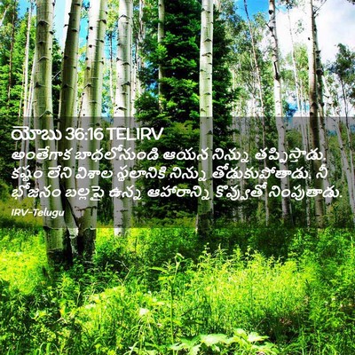 Picture 02 - యోబు 36:16 TELIRV - అంతేగాక - Bible Verse Picture