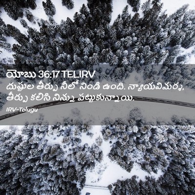 Picture 02 - యోబు 36:17 TELIRV - దుష్టుల తీర్పు - Bible Verse Picture