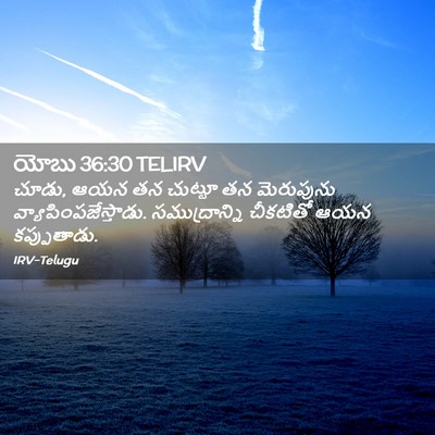 Picture 02 - యోబు 36:30 TELIRV - చూడు, ఆయన తన చుట్టూ - Bible Verse Picture