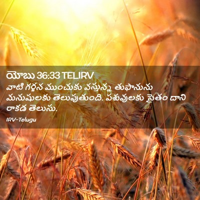 Picture 02 - యోబు 36:33 TELIRV - వాటి గర్జన - Bible Verse Picture