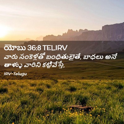 Picture 02 - యోబు 36:8 TELIRV - వారు సంకెళ్లతో - Bible Verse Picture