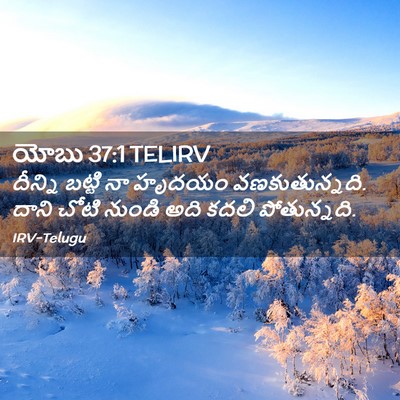 Picture 02 - యోబు 37:1 TELIRV - దీన్ని బట్టి నా - Bible Verse Picture