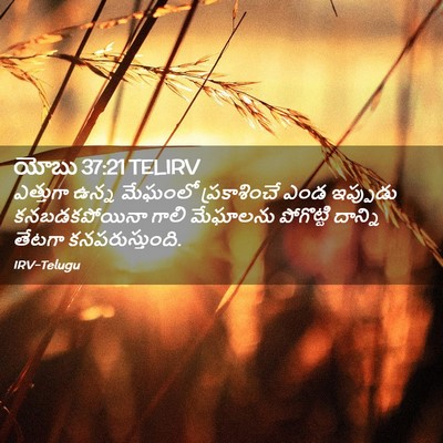 Picture 02 - యోబు 37:21 TELIRV - ఎత్తుగా ఉన్న - Bible Verse Picture