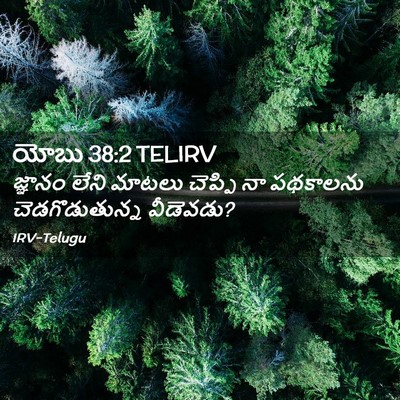 Picture 02 - యోబు 38:2 TELIRV - జ్ఞానం లేని మాటలు - Bible Verse Picture