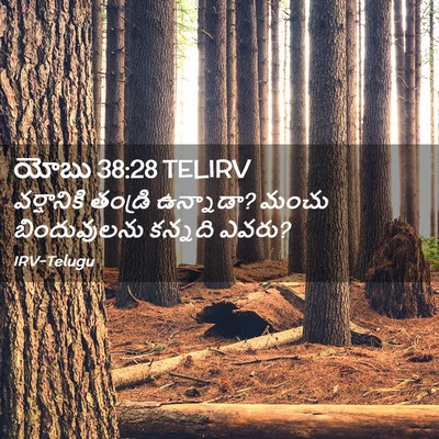Picture 02 - యోబు 38:28 TELIRV - వర్షానికి తండ్రి - Bible Verse Picture