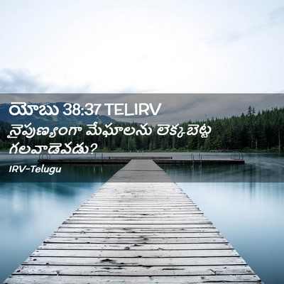 Picture 02 - యోబు 38:37 TELIRV - నైపుణ్యంగా - Bible Verse Picture