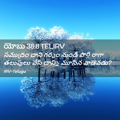 Picture 02 - యోబు 38:8 TELIRV - సముద్రం దాని - Bible Verse Picture