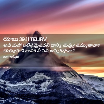 Picture 02 - యోబు 39:11 TELIRV - అది మహా - Bible Verse Picture
