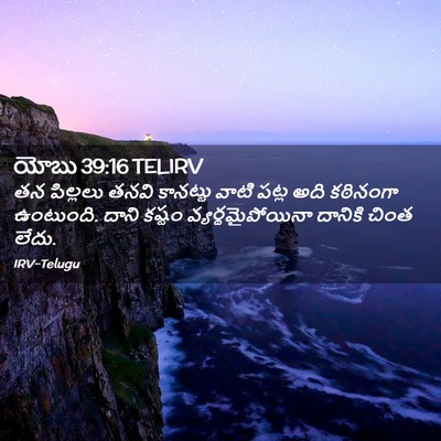 Picture 02 - యోబు 39:16 TELIRV - తన పిల్లలు తనవి - Bible Verse Picture
