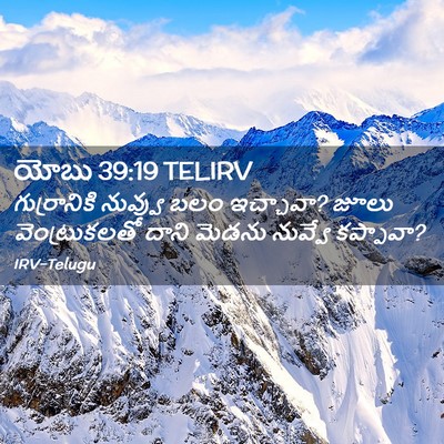 Picture 02 - యోబు 39:19 TELIRV - గుర్రానికి నువ్వు - Bible Verse Picture