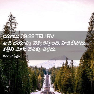 Picture 02 - యోబు 39:22 TELIRV - అది భయాన్ని - Bible Verse Picture