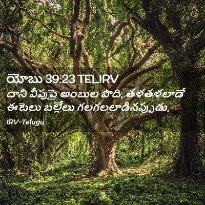 Picture 02 - యోబు 39:23 TELIRV - దాని వీపుపై అంబుల - Bible Verse Picture