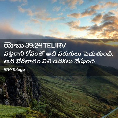 Picture 02 - యోబు 39:24 TELIRV - పట్టరాని కోపంతో - Bible Verse Picture