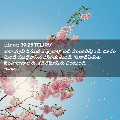 Picture 02 - యోబు 39:25 TELIRV - బాకా ధ్వని - Bible Verse Picture