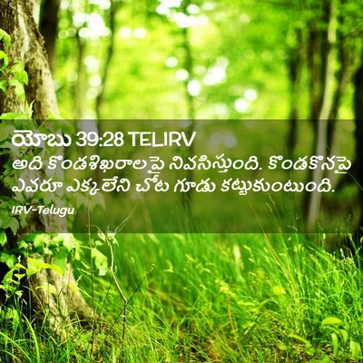 Picture 02 - యోబు 39:28 TELIRV - అది కొండశిఖరాలపై - Bible Verse Picture