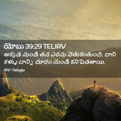 Picture 02 - యోబు 39:29 TELIRV - అక్కడ నుండి తన - Bible Verse Picture