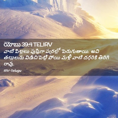 Picture 02 - యోబు 39:4 TELIRV - వాటి పిల్లలు - Bible Verse Picture