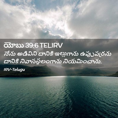 Picture 02 - యోబు 39:6 TELIRV - నేను అడివిని - Bible Verse Picture