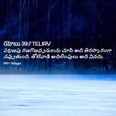 Picture 02 - యోబు 39:7 TELIRV - పట్టణపు - Bible Verse Picture
