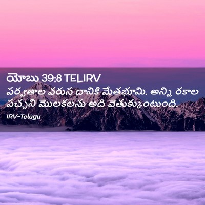 Picture 02 - యోబు 39:8 TELIRV - పర్వతాల వరుస - Bible Verse Picture