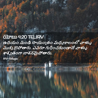 Picture 02 - యోబు 4:20 TELIRV - ఉదయం నుండి - Bible Verse Picture