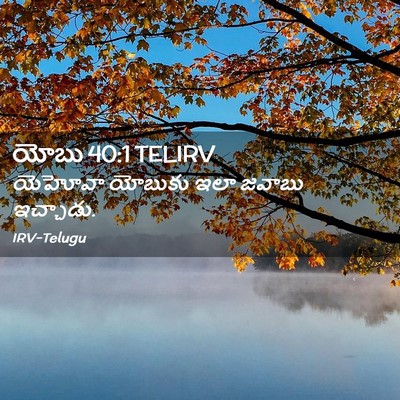 Picture 02 - యోబు 40:1 TELIRV - యెహోవా యోబుకు ఇలా - Bible Verse Picture