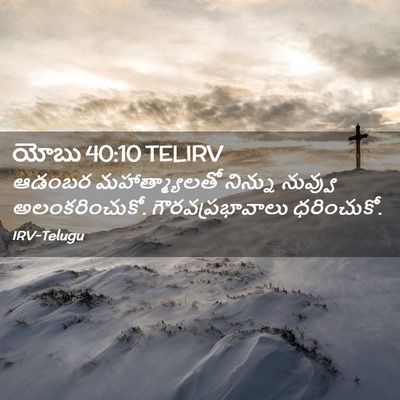 Picture 02 - యోబు 40:10 TELIRV - ఆడంబర - Bible Verse Picture
