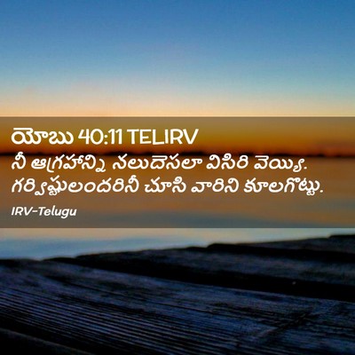 Picture 02 - యోబు 40:11 TELIRV - నీ ఆగ్రహాన్ని - Bible Verse Picture