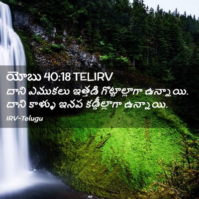 Picture 02 - యోబు 40:18 TELIRV - దాని ఎముకలు - Bible Verse Picture