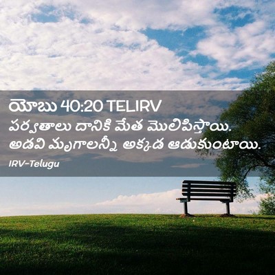 Picture 02 - యోబు 40:20 TELIRV - పర్వతాలు దానికి - Bible Verse Picture