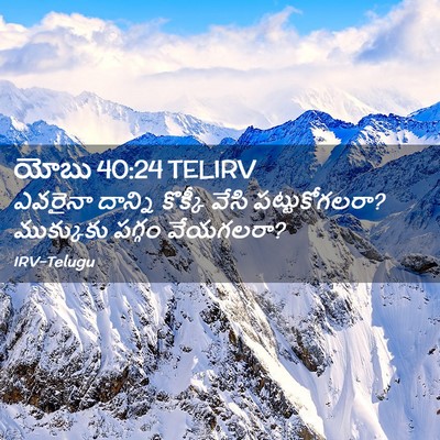 Picture 02 - యోబు 40:24 TELIRV - ఎవరైనా దాన్ని - Bible Verse Picture