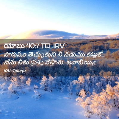Picture 02 - యోబు 40:7 TELIRV - పౌరుషం తెచ్చుకుని - Bible Verse Picture