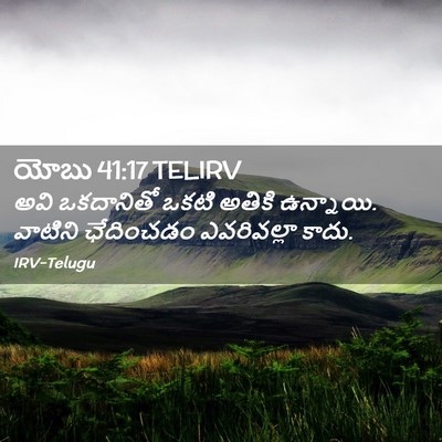 Picture 02 - యోబు 41:17 TELIRV - అవి ఒకదానితో ఒకటి - Bible Verse Picture