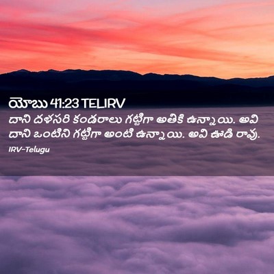 Picture 02 - యోబు 41:23 TELIRV - దాని దళసరి - Bible Verse Picture