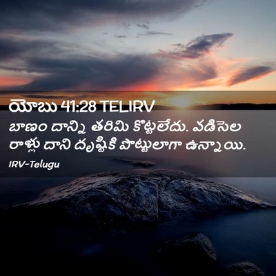 Picture 02 - యోబు 41:28 TELIRV - బాణం దాన్ని తరిమి - Bible Verse Picture