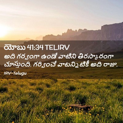 Picture 02 - యోబు 41:34 TELIRV - అది గర్వంగా ఉండే - Bible Verse Picture
