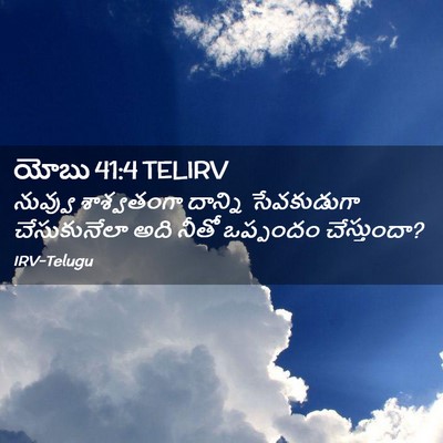 Picture 02 - యోబు 41:4 TELIRV - నువ్వు శాశ్వతంగా - Bible Verse Picture