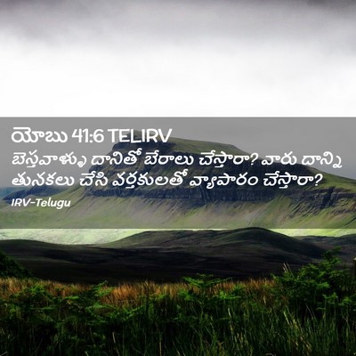 Picture 02 - యోబు 41:6 TELIRV - బెస్తవాళ్ళు - Bible Verse Picture